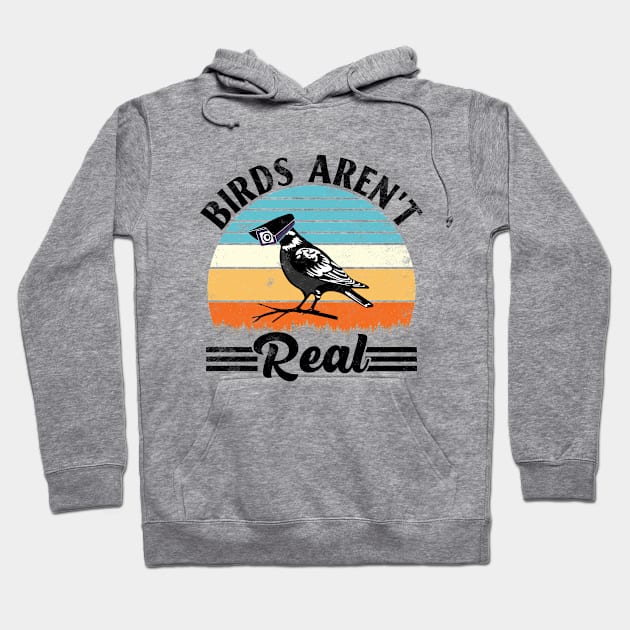 Vintage Birds Aren’t Real Movement - If It Flies It Spies Hoodie by RiseInspired